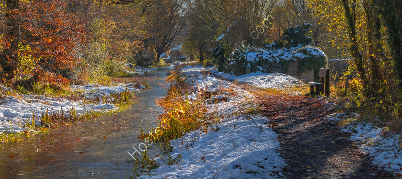 FROSTY MORNING by David Willey