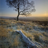 FROSTY MORNING by Roger Fountain