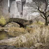 GAPSTOW BRIDGE by Nigel Seale.