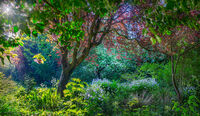 GARDEN OF PLENTY by Ashley Franklin