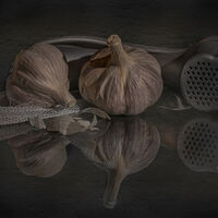 GARLIC by Wayne Churchill