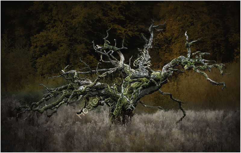 GHOST OF AUTUMN PAST by Chris Greaves