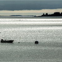 GREAT HARBOUR MAINE by Gill Dishart