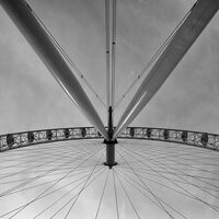 HALF AN EYE By Wayne Churchill