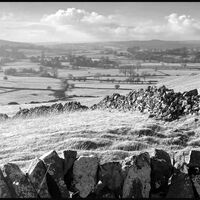 HARTINGTON VIEW by David Harrison