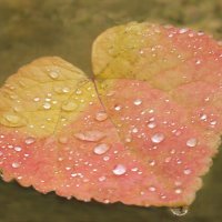 HEARTBROKEN by Gillian Foulds