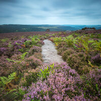 HEATHER TOWARDS MOTHER CAP AND BEYOND by Mark Constable