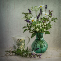 HERB POSY by Christine Maughan
