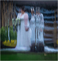 HERE COMES THE BRIDE by David Harrison