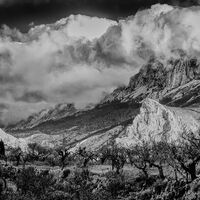 HIGH SIERRA by Brenda Howard