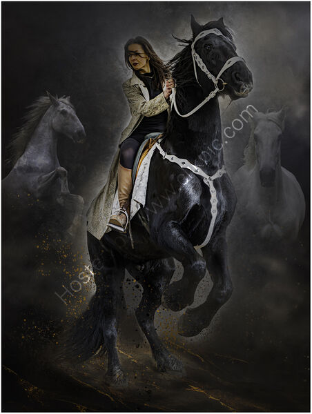 HIGH STEPPING DRAMA by Chris Greaves