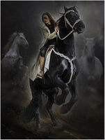 HIGH STEPPING DRAMA by Chris Greaves