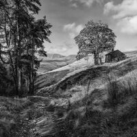 HOUSE ON THE HILL by Christine Maughan