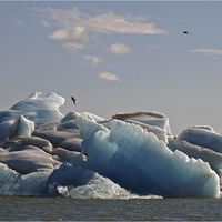 ICE by Mick Smith