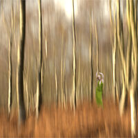 ICM BOLE HILL by Frank Reeder