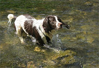 I'M READY! by Susan Swain