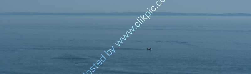 INTO THE GREAT WIDE OPEN by David Willey