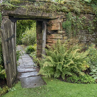 INTO THE SECRET GARDEN by Christine Maughan