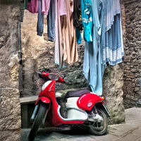 ITALIAN BACK YARD by Frank Reeder