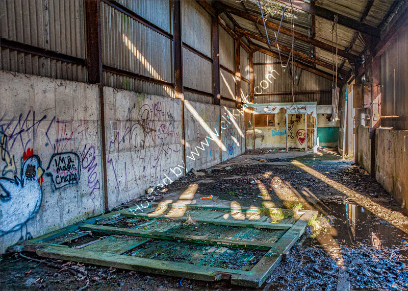 I AM A MAGIC CHICKEN by Dave Boardman