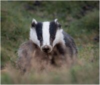 I THINK I SEE YOU by Chris Greaves