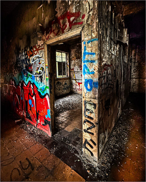I WISH I WASNT ALONE IN HERE by David Harrison
