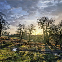 JANUARY DAWN by Alan Locke