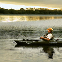 JUST FISHING by Sue Swain