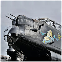 JUST JANE by Kevin Marples