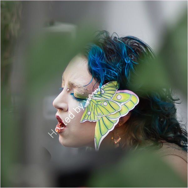 KAEYA LOST IN SONG by David Harrison