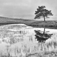 KELLY HALL TARN by Malcolm Sargent