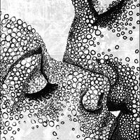 KISS by Nigel Seale