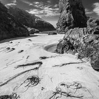 KYNANCE COVE, CORNWALL by Mike Arblaster