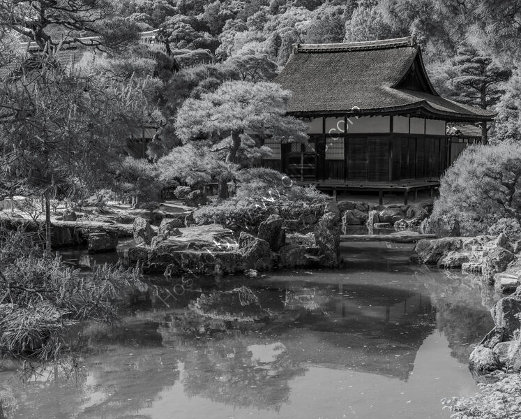 KYOTO TEMPLE by David Willey