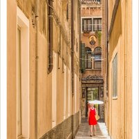 LADY IN RED by Peter Ward