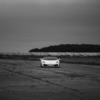 LAMBORGHINI by Wayne Churchill