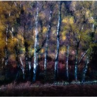 LAST LIGHT'S GLOW by Jim Connolly