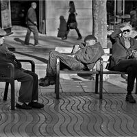 LAST OF THE SPANISH WINE BARCELONA by Frank Reeder