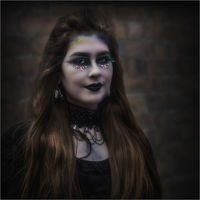 LAVINIA by David Goodman