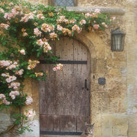LAYCOCK DOOR by Gillian Foulds