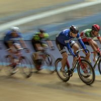 LEADERS OF THE PACK by Nigel Seale