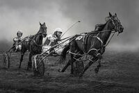 LIGHT AND MOTION by Michelle Jackson