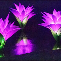 LILLIES By Derrick Tuplin