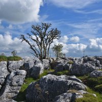 LIMESTONE PAVEMENT DERBYSHIRE by Mike Bradley