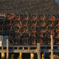 LOBSTER POTS by Gill Dishart