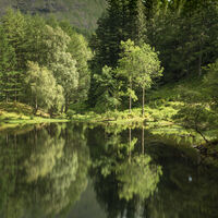 LOCHAN REFLECTION by Mark Constable
