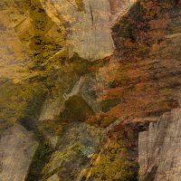 LOGGING COUNTRY by Gill Dishart