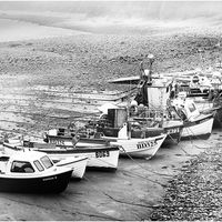 LOW TIDE by Sue Swain