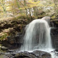 LUMSDALE BEAUTY by Gillian Foulds