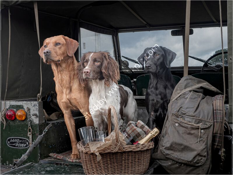 LUNCH BREAK by Kevin Marriott